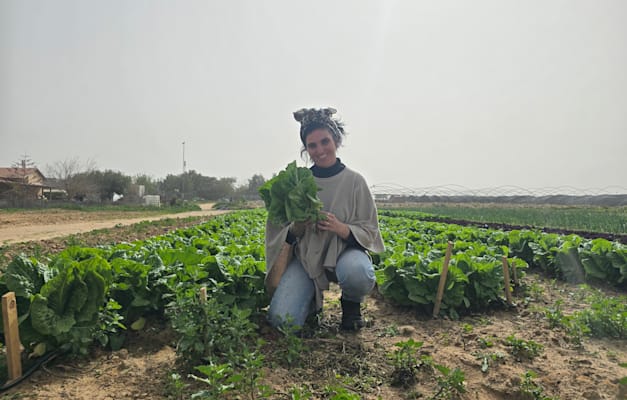 ספיר חביביאן, משק אורגניקא / צילום: אורנה בן חיים