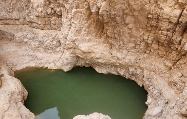 נחל רחף / צילום: מולי אינהורן נחל רחף / צילום: מולי אינהורן