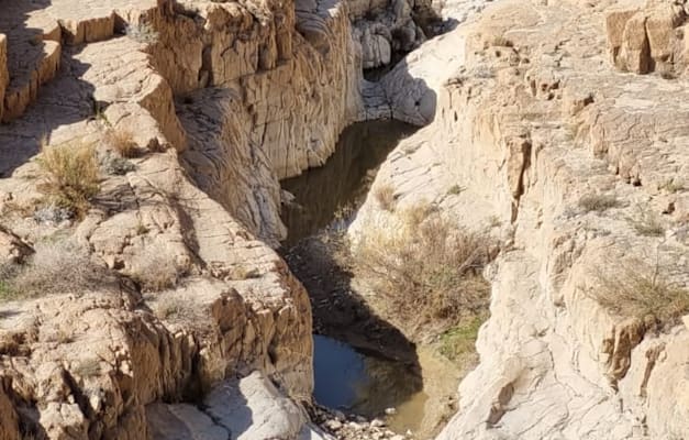 נחל משמר / צילום: מולי אינהורן נחל משמר / צילום: מולי אינהורן