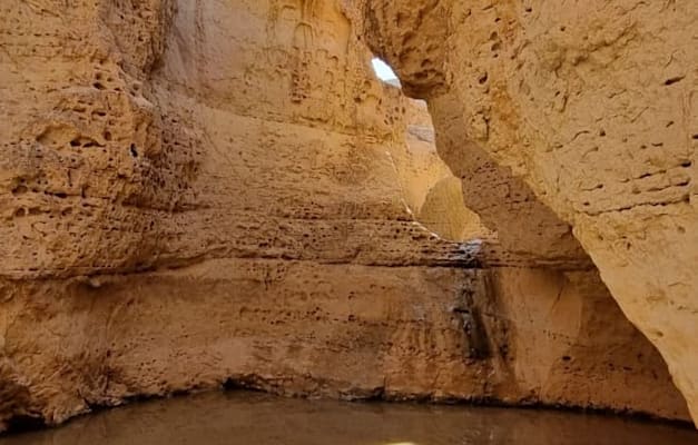 נחל שרף / צילום: מולי אינהורן נחל שרף / צילום: מולי אינהורן