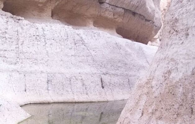 נחל אשלים / צילום: מולי אינהורן נחל אשלים / צילום: מולי אינהורן