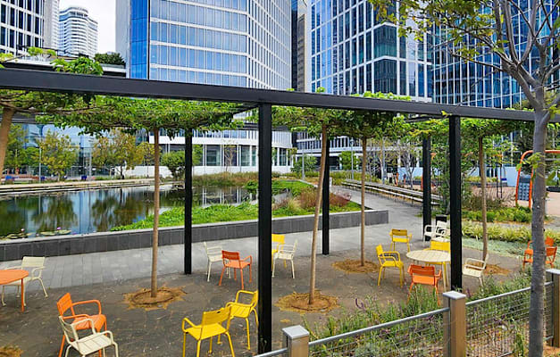 גינה בחסן עראפה בתל אביב / צילום: דוברות עיריית תל אביב