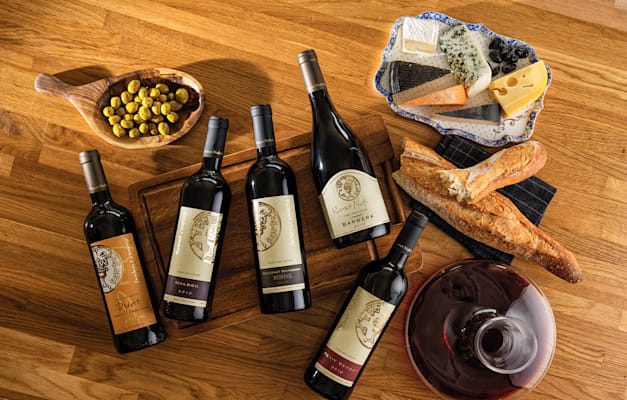 יינות של רמות נפתלי. תנאים להבשלה עם חמיצות טובה / צילום: דני לרנר