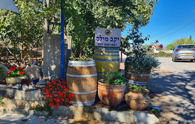 יקב מילס בכרם בן זמרה / צילום: איל מילס