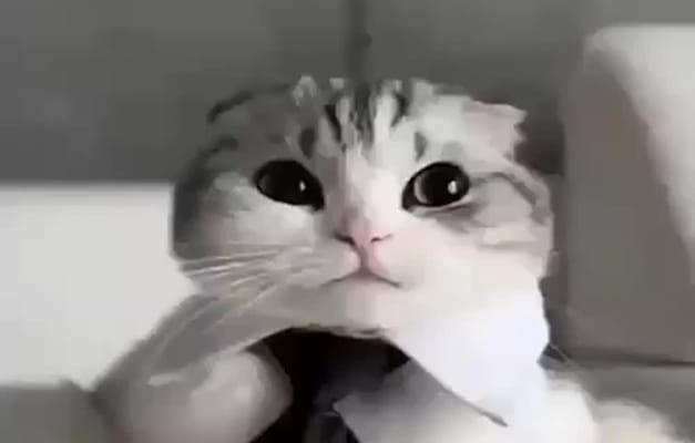 המם ששלח ברנדג'. הקליל את האווירה והשיג את המידע / צילום: הוול סטריט ג'ורנל