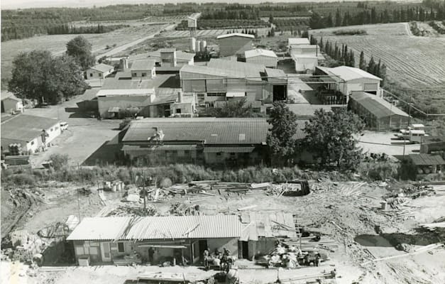 מפעל מטרנה בחצר המשק, 1982. ''מכרנו כי רצינו לחזק תחומים אחרים'' / צילום: ארכיון מעברות מפעל מטרנה בחצר המשק, 1982. ''מכרנו כי רצינו לחזק תחומים אחרים'' / צילום: ארכיון מעברות