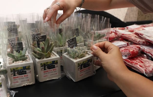 הגרביים והסוקולנטים שחולקו בכנס / צילום: ענבל מרמרי