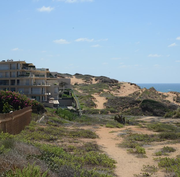 ארסוף. חסידות גור מחזיקה קרקעות באזורים אטרקטיביים במיוחד / צילום: איל יצהר