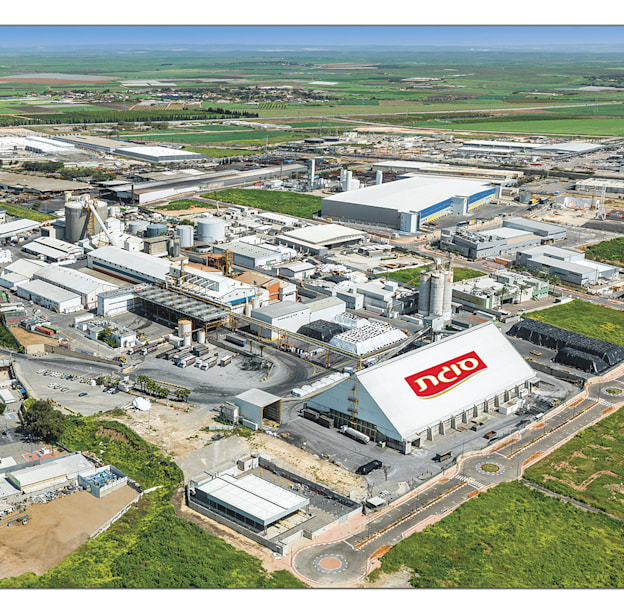 מפעל סוגת בקרית גת / צילום: יח''צ