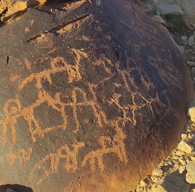 חרוטת סלע בין עבדת לבסיס רמון / צילום: מוסא שטרית