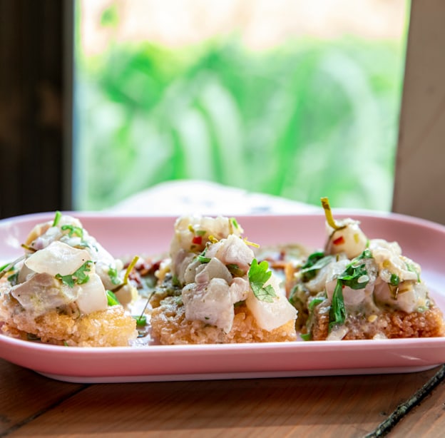 לאאפ פלה / צילום: רומי סוחר