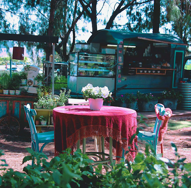 עגלתא / צילום: אמיר ליפשיץ