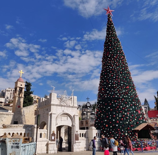 עץ האשוח בכיכר המעיין בנצרת / צילום: יזיד חמיס