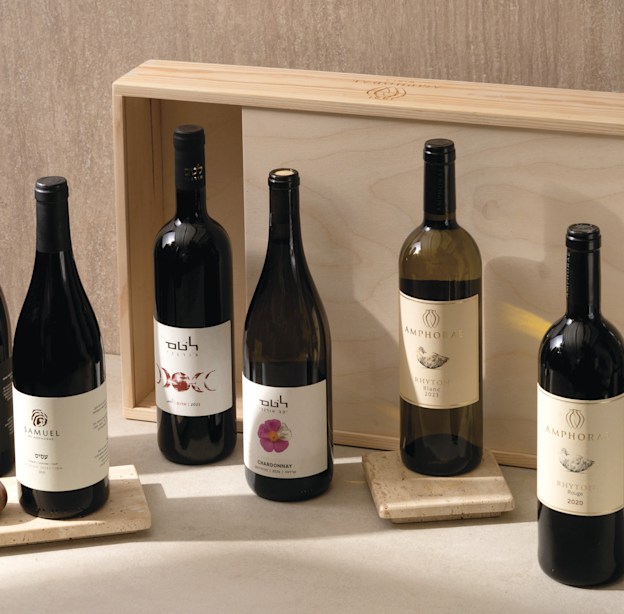 יינות קבוצת אמפורה / צילום: אנטולי מיכאלו