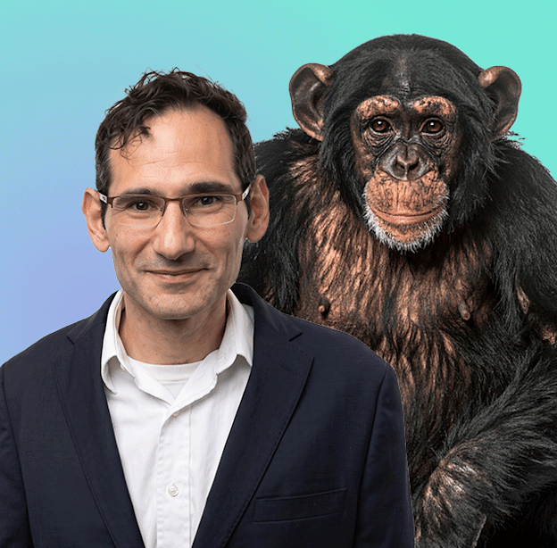 איתי רופמן (ושימפנזה) / עיבוד: אלבום פרטי