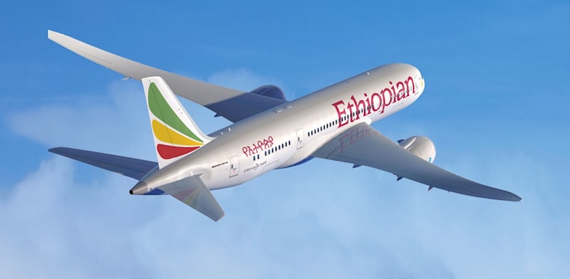 מטוס אתיופיאן איירליינס / צילום: יח''צ