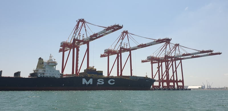 ספינה של MSC בנמל חיפה / צילום: גיא ליברמן