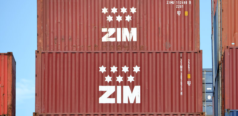 מכולות של חברת צים / צילום: Shutterstock