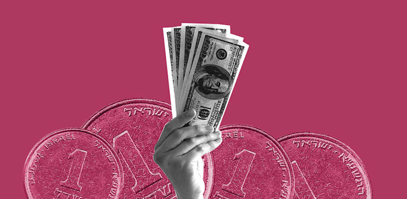 אילוסטרציה: טלי בוגדנובסקי