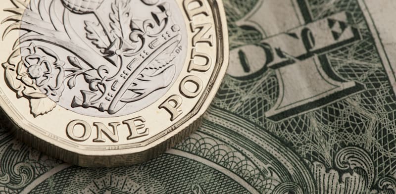 פאונד / צילום: Shutterstock