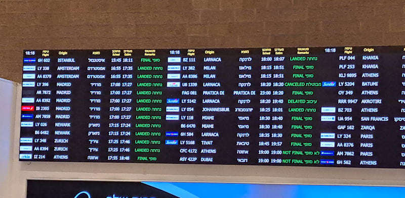 לוח הטיסות בנתב''ג / צילום: טלי בוגדנובסקי