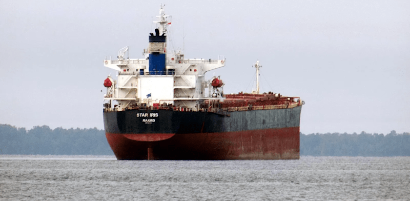 האיום החות'י והשפעתו על התובלה הימית / צילום: Pak Agen / marinetraffic.com