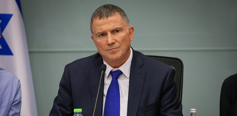 ח''כ יולי אדלשטיין / צילום: נועם מושקוביץ'