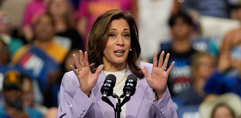 קמלה האריס / צילום: ap, Julia Nikhinson