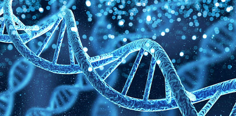 צילום: Shutterstock