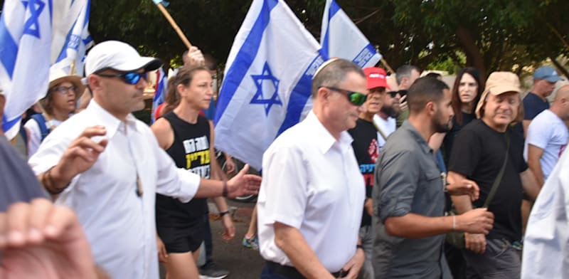 ח"כ יולי אדלשטיין מלווה במפגינים, הבוקר / צילום: יאיר פלטי