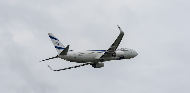 מטוס אל על ממריא מנתב''ג / צילום: Shutterstock