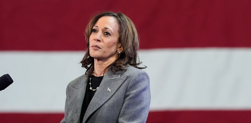 המועמדת לנשיאות ארה"ב, קמלה האריס / צילום: ap, Brynn Anderson