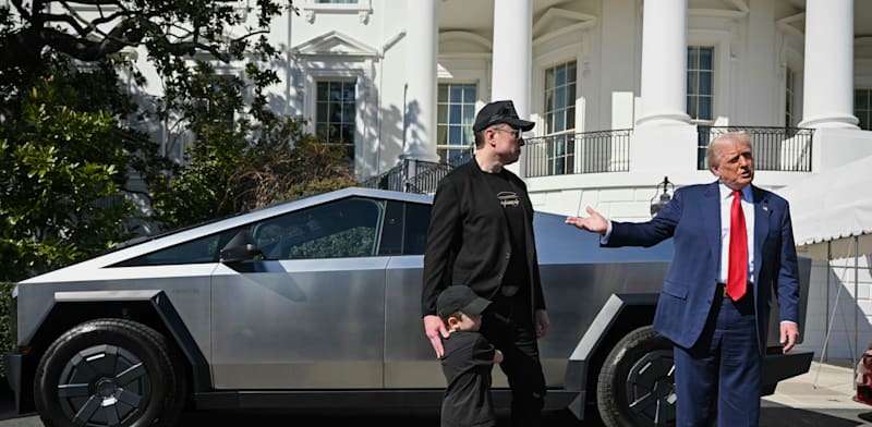 דונלד טראמפ ואילון מאסק / צילום: ap, Pool Images