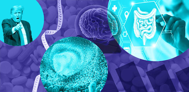 חדשות הביומד / עיצוב: טלי בוגדנובסקי, צילומים: Shutterstock