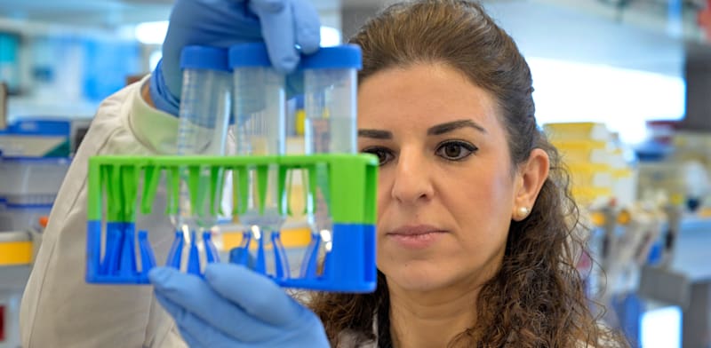 מעבדת קומפיוג'ן / צילום: יוסי צבקר