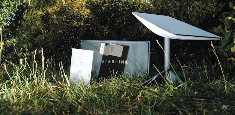 המערכת של סטארלינק בחיק הטבע / צילום: Shutterstock