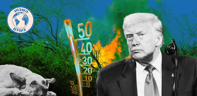 השבוע בעולם / צילום: ap, Alex Brandon