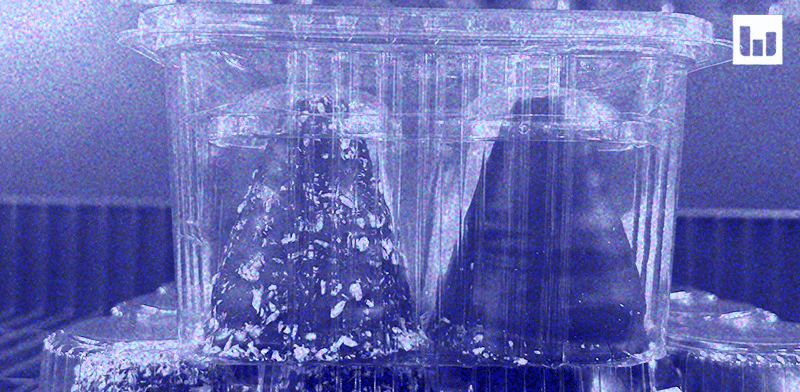 בודקים את המיתוס. הקרמבו הוא לא המצאה כחול־לבן / צילום: אביעד לוי