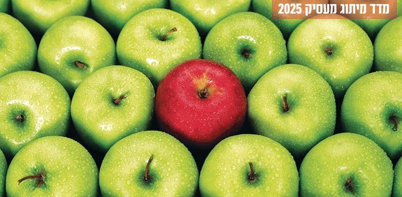 מדד מיתוג מעסיק / צילום: Shutterstock