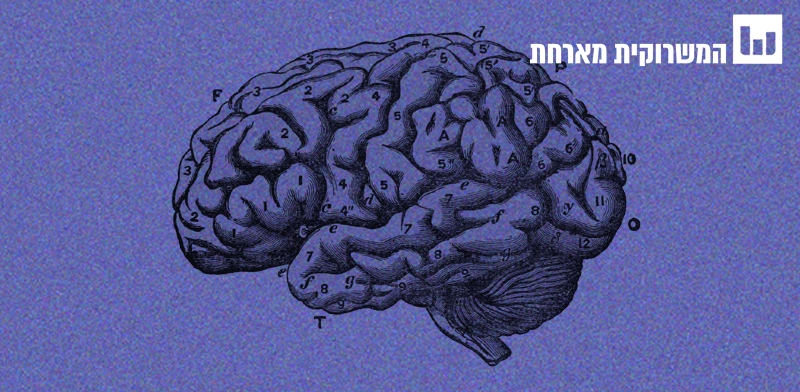 בודקים את המיתוס. ניצול המוח / איור: הנרי צ'רלטון בסטיאן, ויקיפדיה