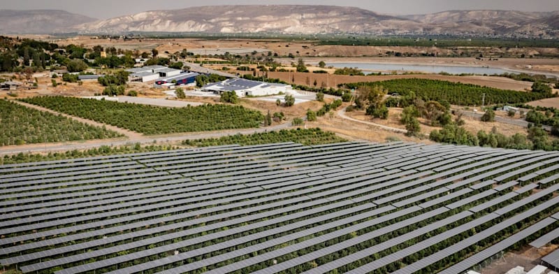 פאנלים סולאריים מעל שדה חקלאי / צילום: אמיר טרקל