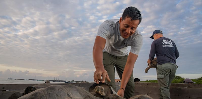 השבת הצבים בשבוע שעבר לפלוריאנה. עדות לכוחו של המדע המודרני / צילום: Reuters, Latin America News Agency