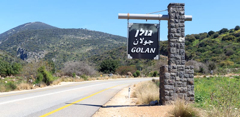 המועצה האזורית גולן / צילום: Shutterstock