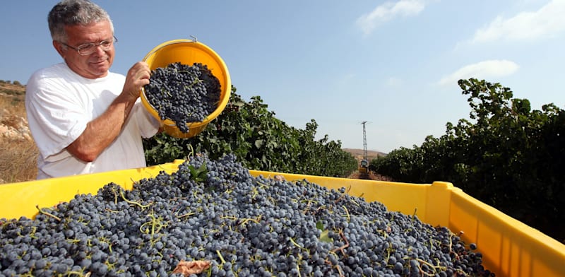 איציק כהן / צילום: נטלי שור