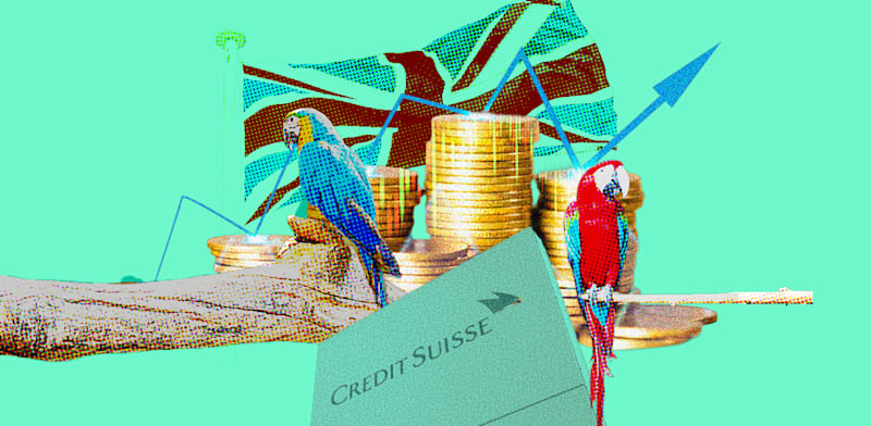 חומרים: Adobe stock, עיצוב: טלי בוגדנובסקי