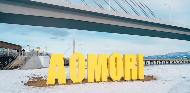 מחוז אומורי, יפן | צילום: shutterstock