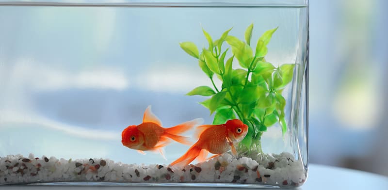 אילוסטרציה: Shutterstock / אילוסטרציה: Shutterstock