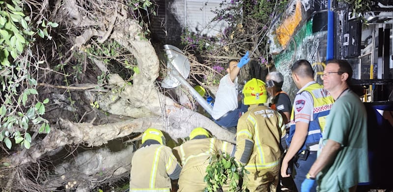 זירת התאונה בת''א / צילום: מד''א