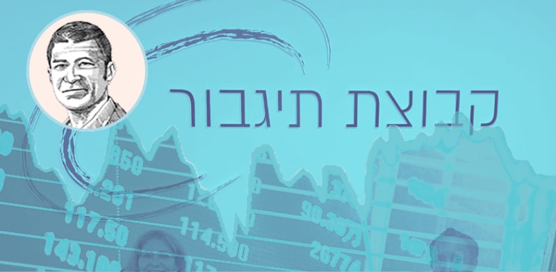 ניתוח חברה: תיגבור / צילום: יוחאי גלבוע