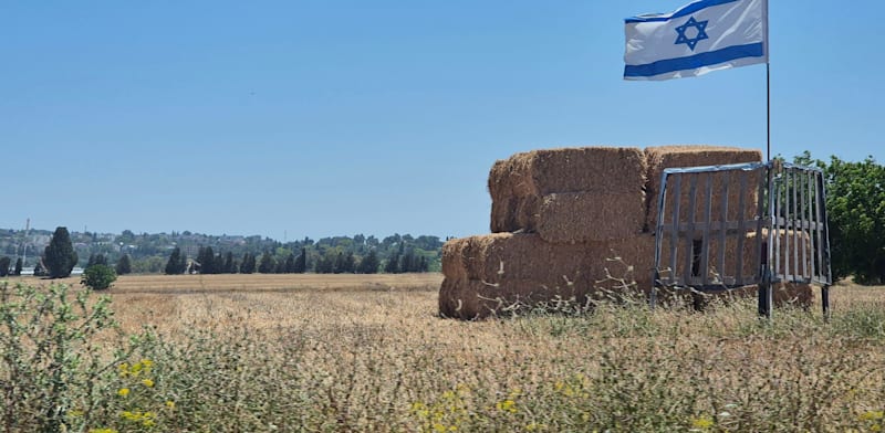 קרקע חקלאית / צילום: Shutterstock